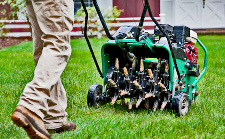 Aeration & Seeding