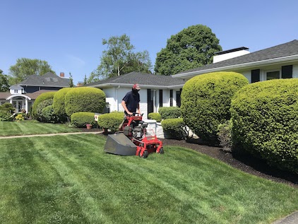 Lawn Care